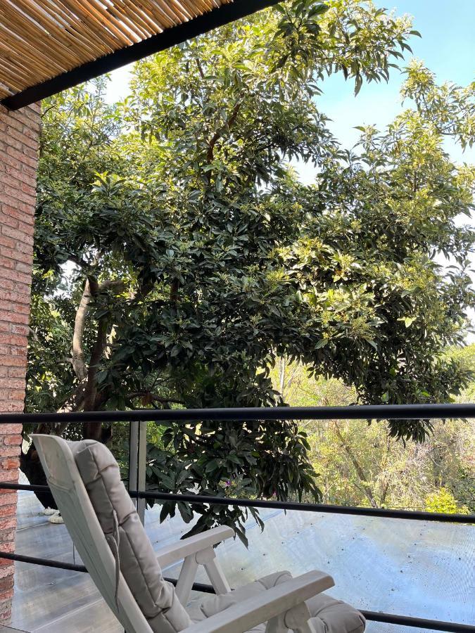 Willa Mi Refugio San Angel Meksyk Zewnętrze zdjęcie