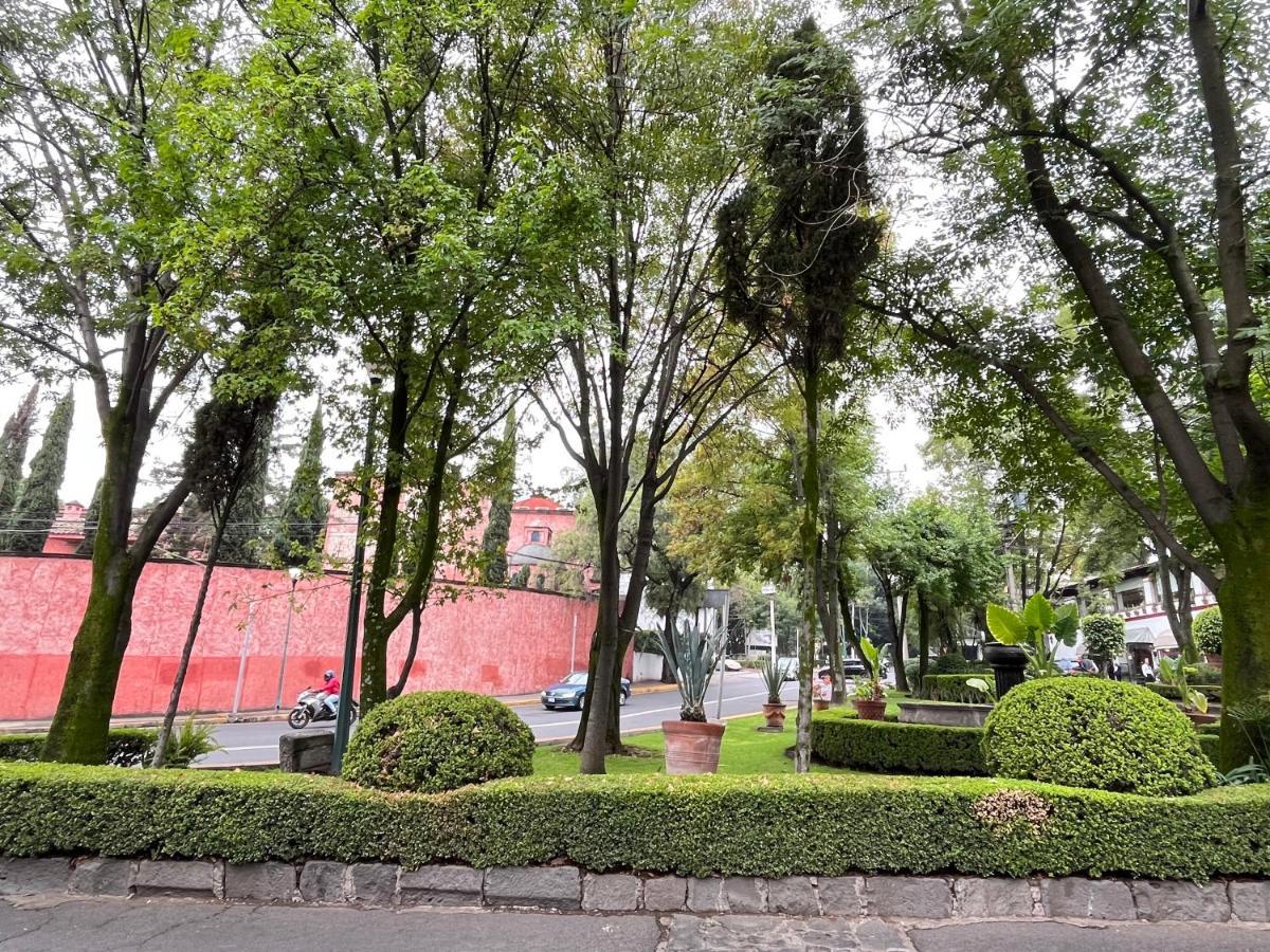 Willa Mi Refugio San Angel Meksyk Zewnętrze zdjęcie